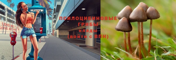 трава Нея