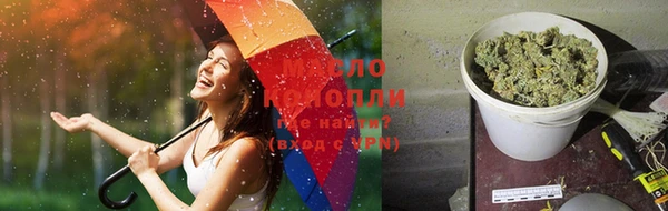 тгк Новозыбков