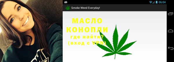 дживик Туринск