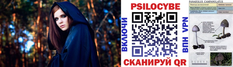 Псилоцибиновые грибы прущие грибы  цены   Петровск-Забайкальский 